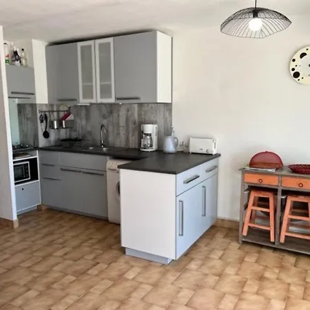 T3 Proche A Avec Terrasse, Parking Et Animaux Acceptes - Fr-1-749-25 *